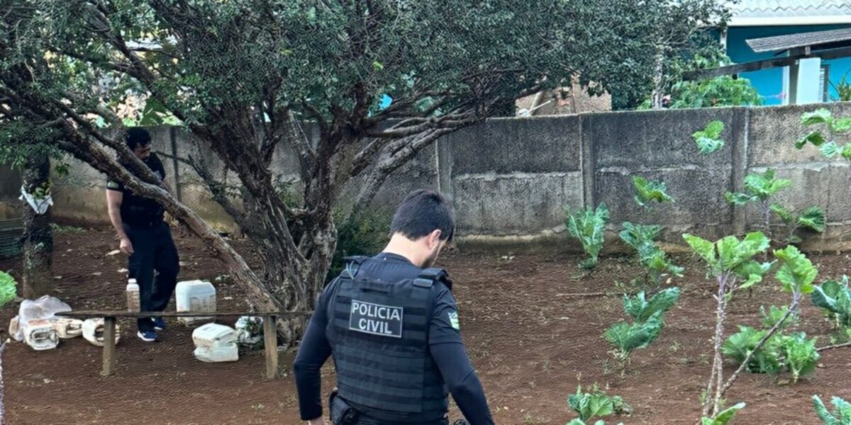 Operação Dupla Safra cumpre buscas e investiga o uso de plantação de hortaliças para operar o tráfico de drogas