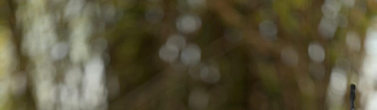 Polícia Civil prende integrante de grupo criminoso desarticulado durante a Operação Fora de Rota