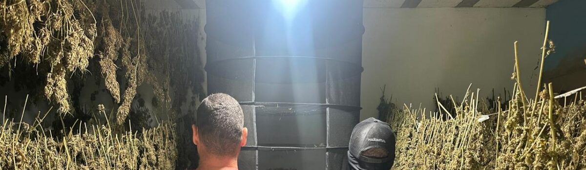PCGO desarticula laboratório clandestino de skunk e prende cinco investigados em Anápolis