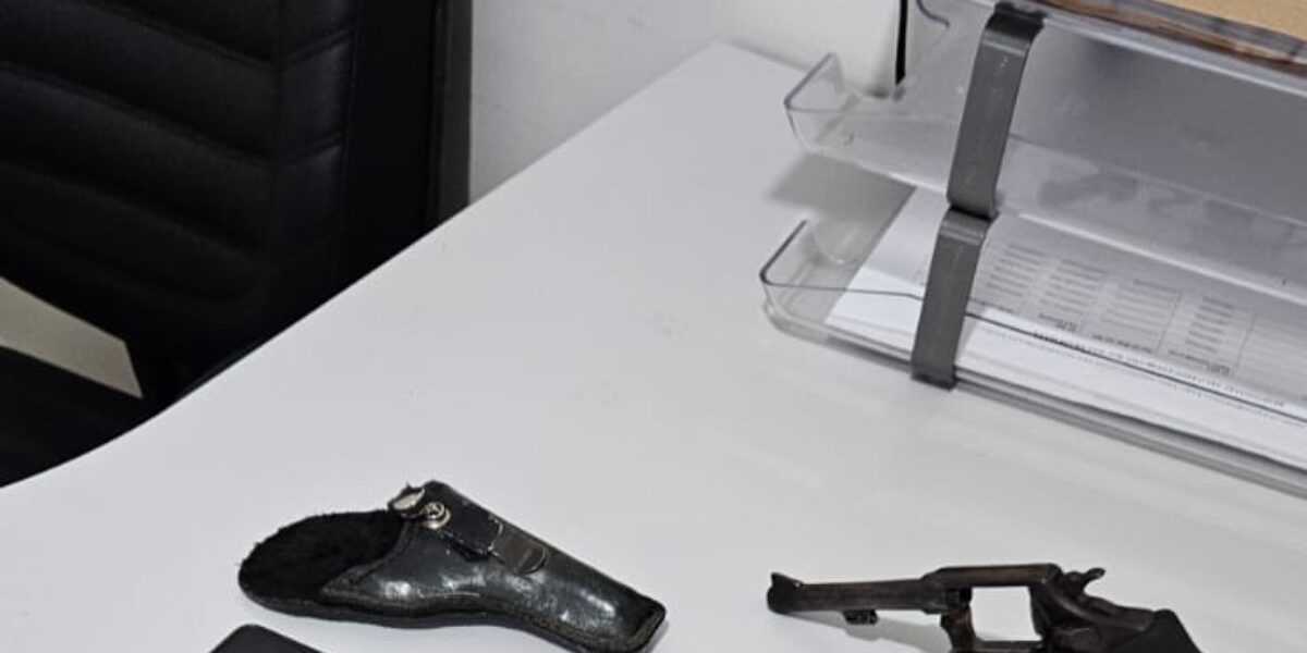 PCGO prende homem por descumprimento de medida protetiva e apreende armas de fogo em Cachoeira Alta