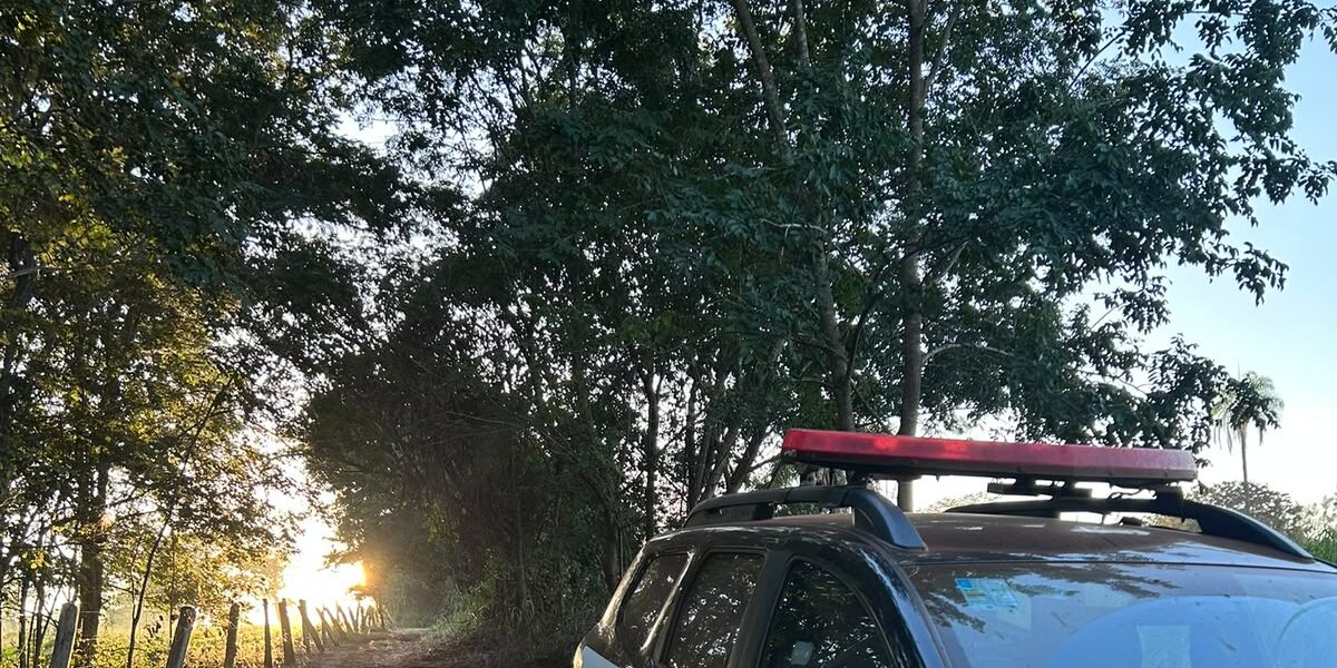 PCGO prende homem por violência doméstica após ameaçar companheira com uma faca