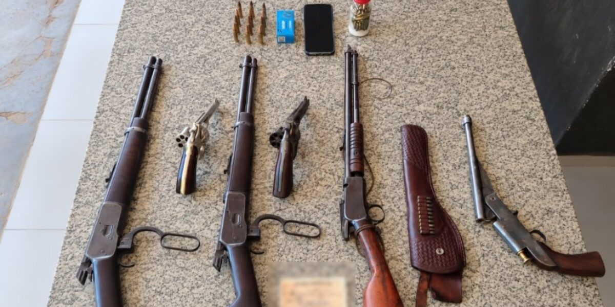 PCGO prende investigado por crimes sexuais e apreende seis armas de fogo em Porangatu