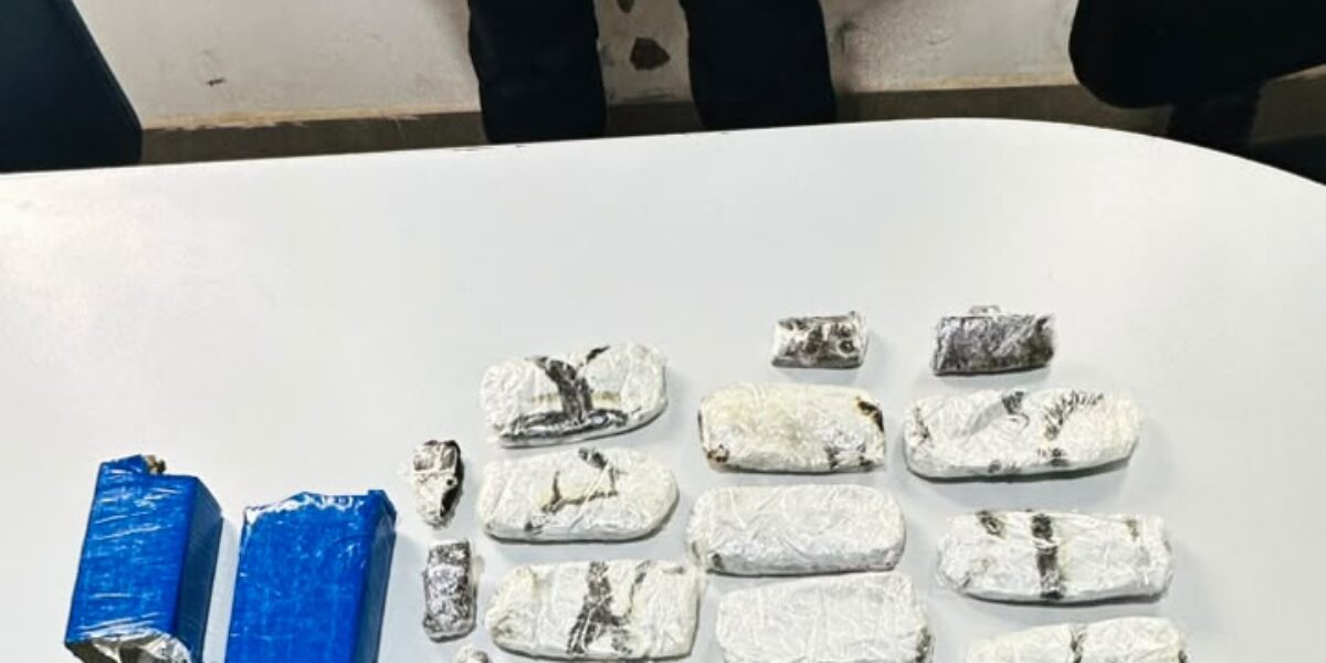 PCGO deflagra operação contra organização criminosa de tráfico de drogas e cumpre mais de 30 mandados judiciais