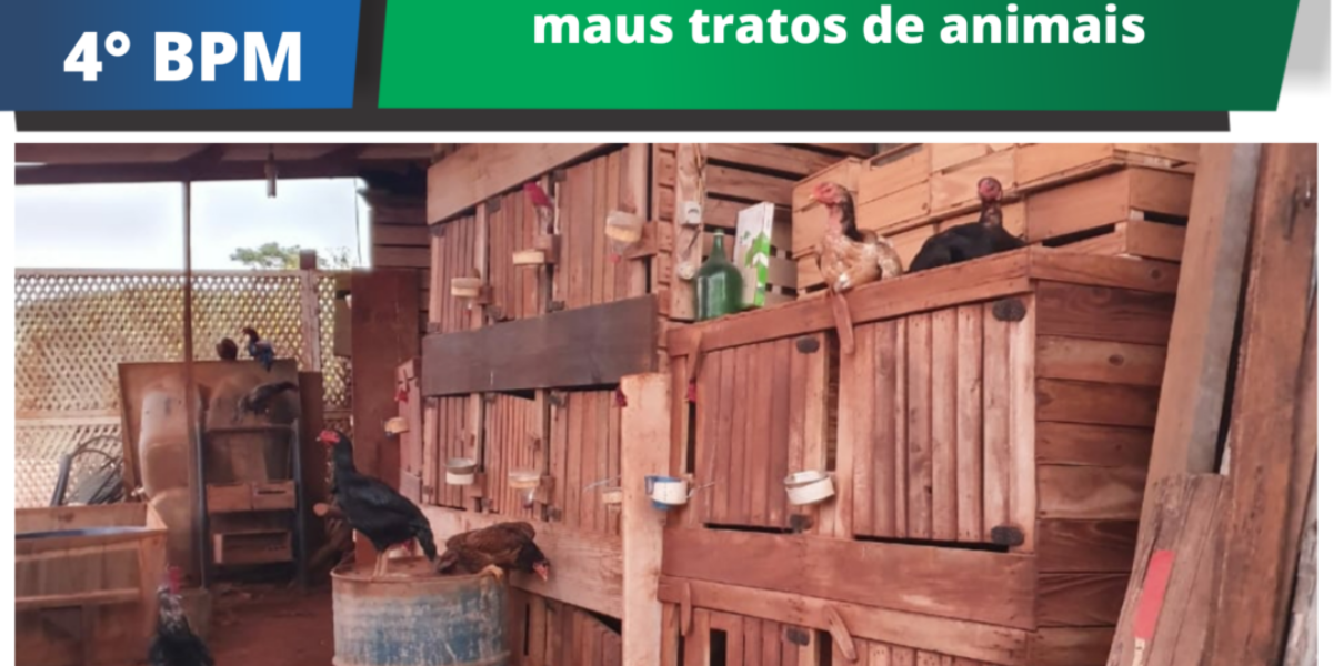 4º BPM: combate ao crime de maus tratos de animais