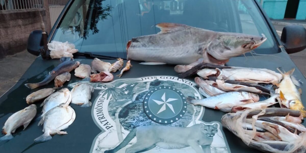 Comando do Policiamento Ambiental: Combate à pesca predatória na cidade de Aruanã