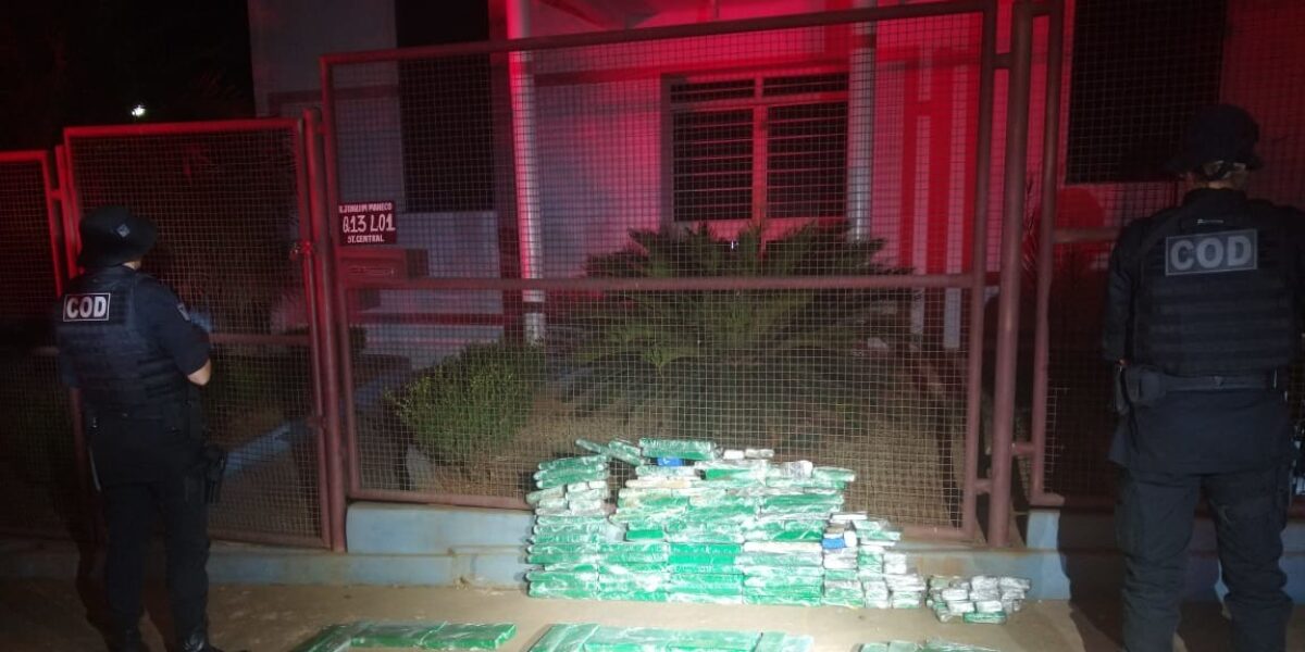 CPR/COD apreende quase 150 kg de entorpecentes