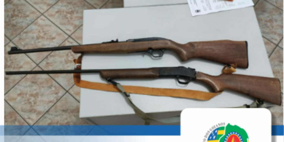 Polícia militar no combate ao crime de posse irregular de arma de fogo