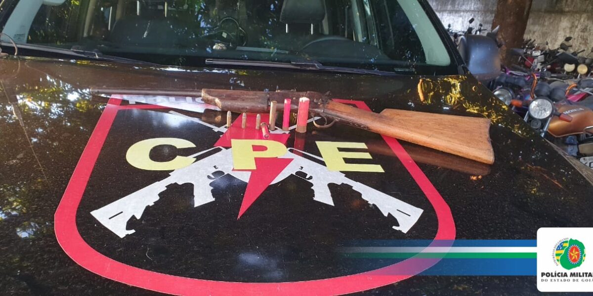 Em Jussara, homem é preso por posse irregular de arma de fogo