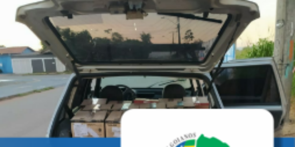 Estelionatários são presos por aplicar golpes em empresas do ramo hospitalar.