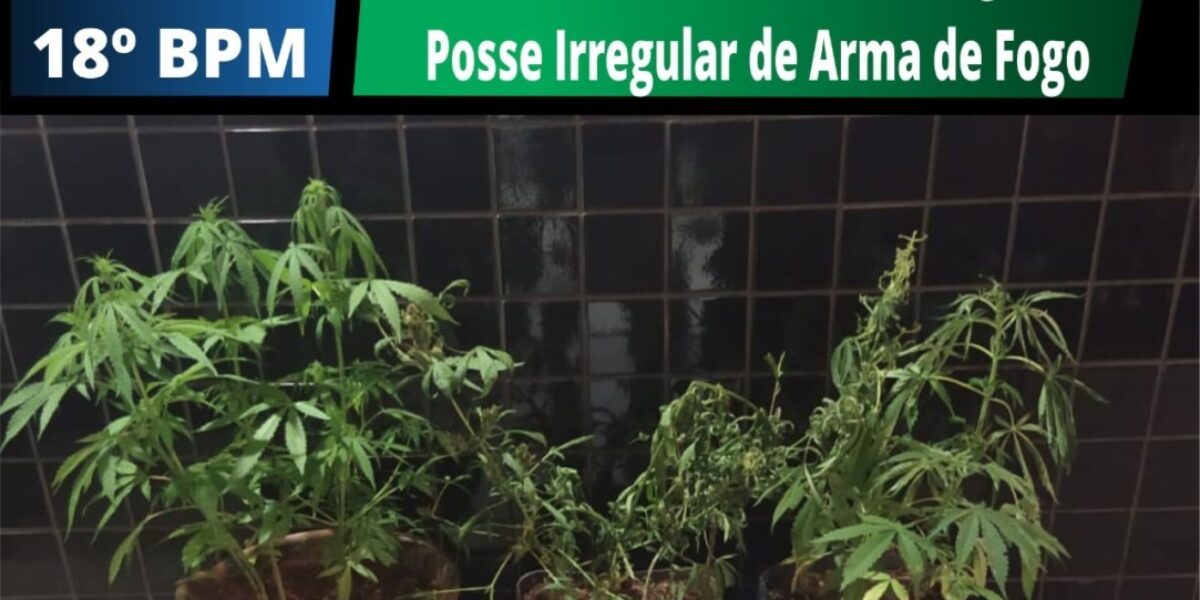 18º BPM: prisão de suspeitos de tráfico é realizada na zona rural de Catalão-GO