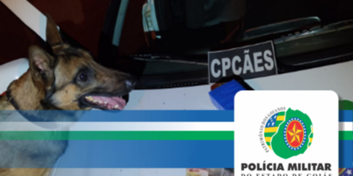 Cão da polícia militar localizam drogas em Aparecida de Goiânia.