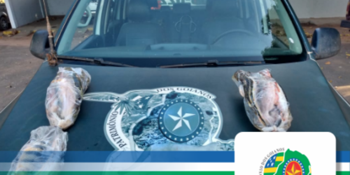 Combate a Pesca Predatória em Araguapaz.