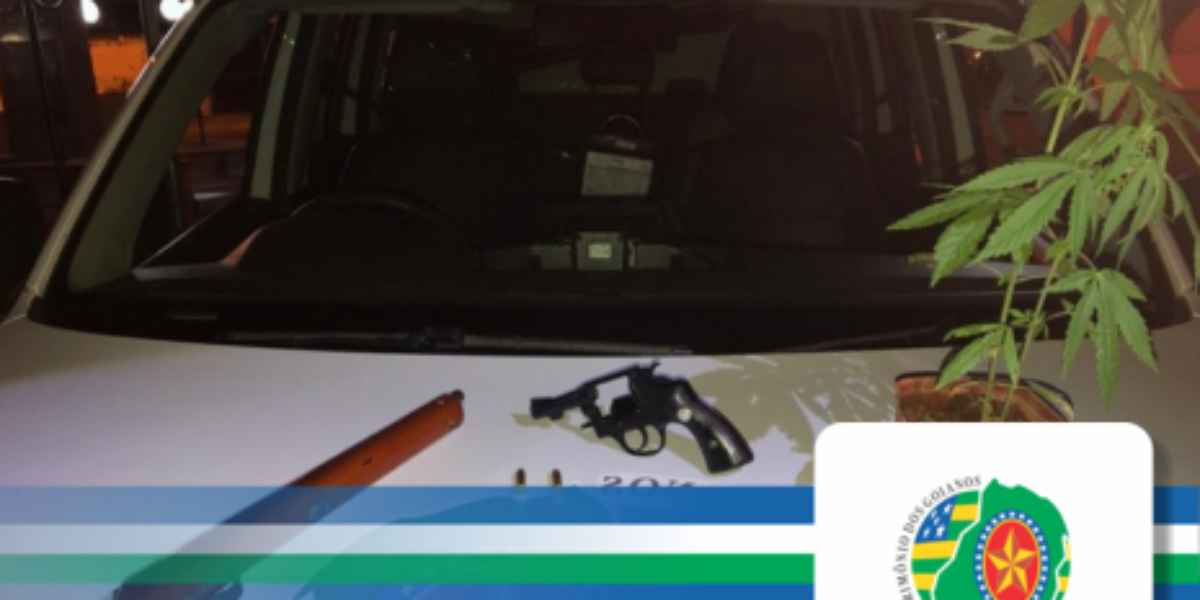 Homem é preso cultivando maconha em casa.