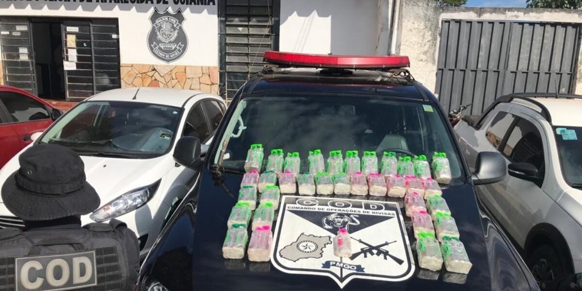Operação Hórus: COD apreende grande carga de entorpecentes