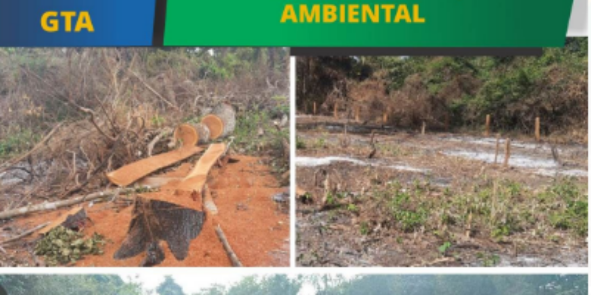 Polícia militar no combate a degradação ambiental no município de Adelândia.