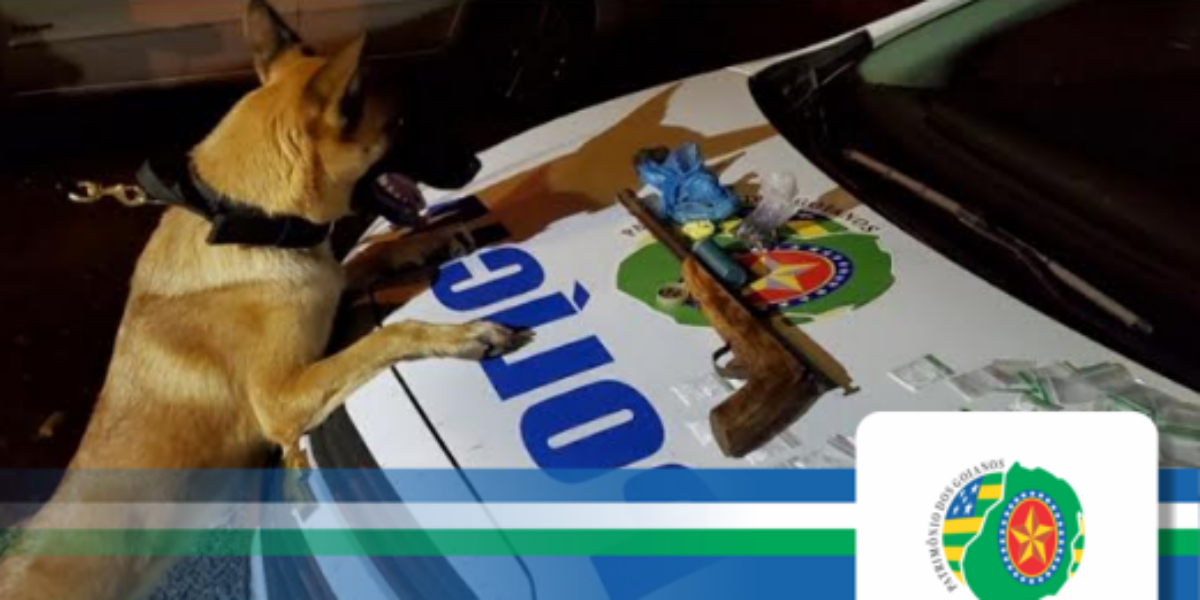 Polícia Militar de Acreúna prende traficantes com apoio de  cães farejadores.
