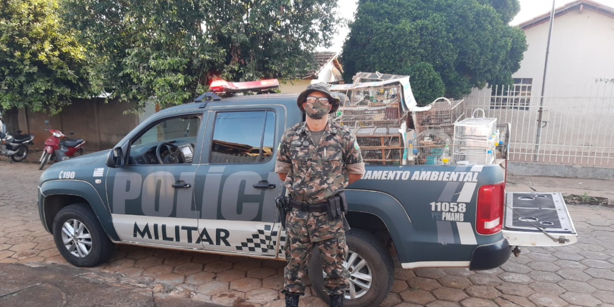 CPA recupera pássaros silvestres durante Operação