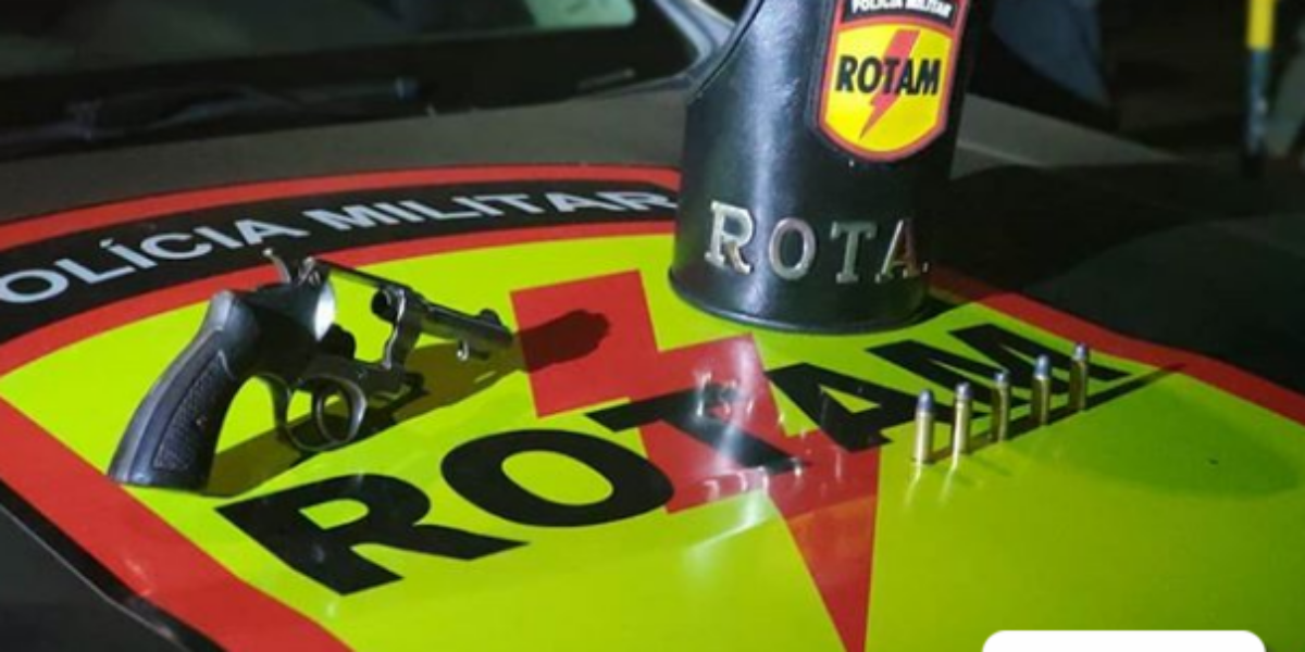 Arma de fogo é apreendida em Goianira.