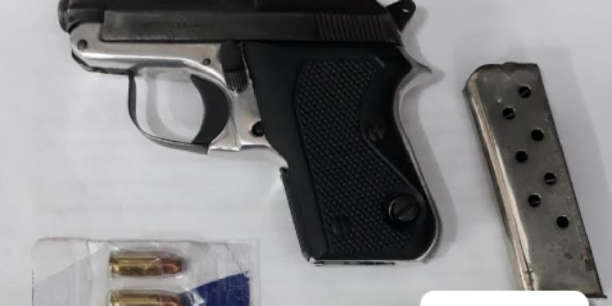 Apreensão de arma de fogo na GO-020.