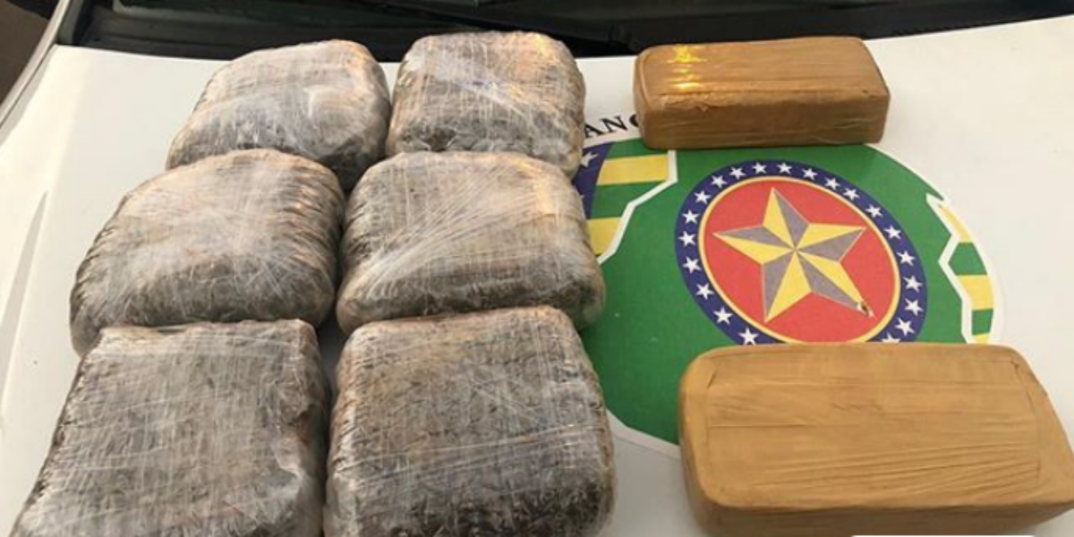 PMGO apreende drogas avaliada em 80 mil reais