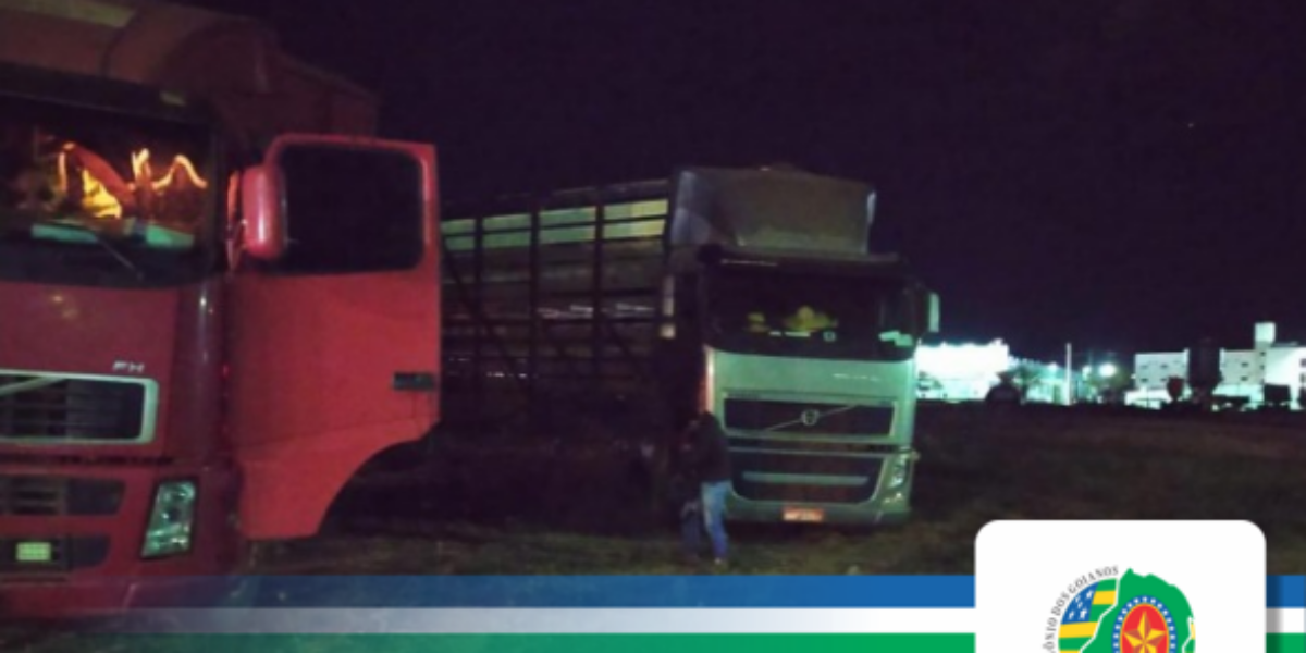 PMGO recupera 143 cabeças de gado roubadas em Mineiros