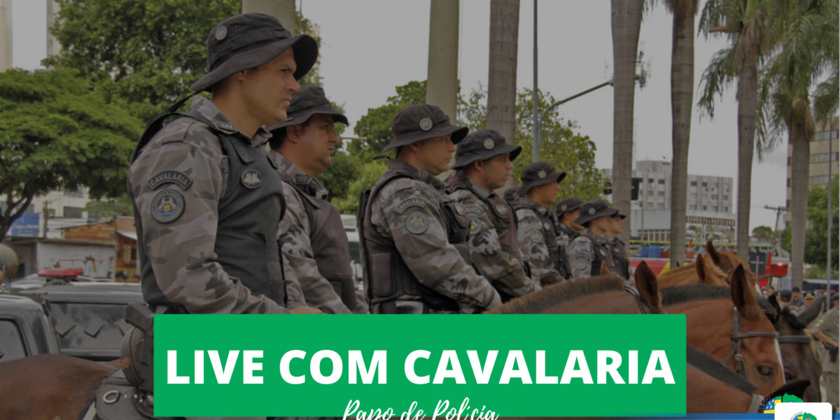 Papo de Polícia com Regimento de Polícia Montada