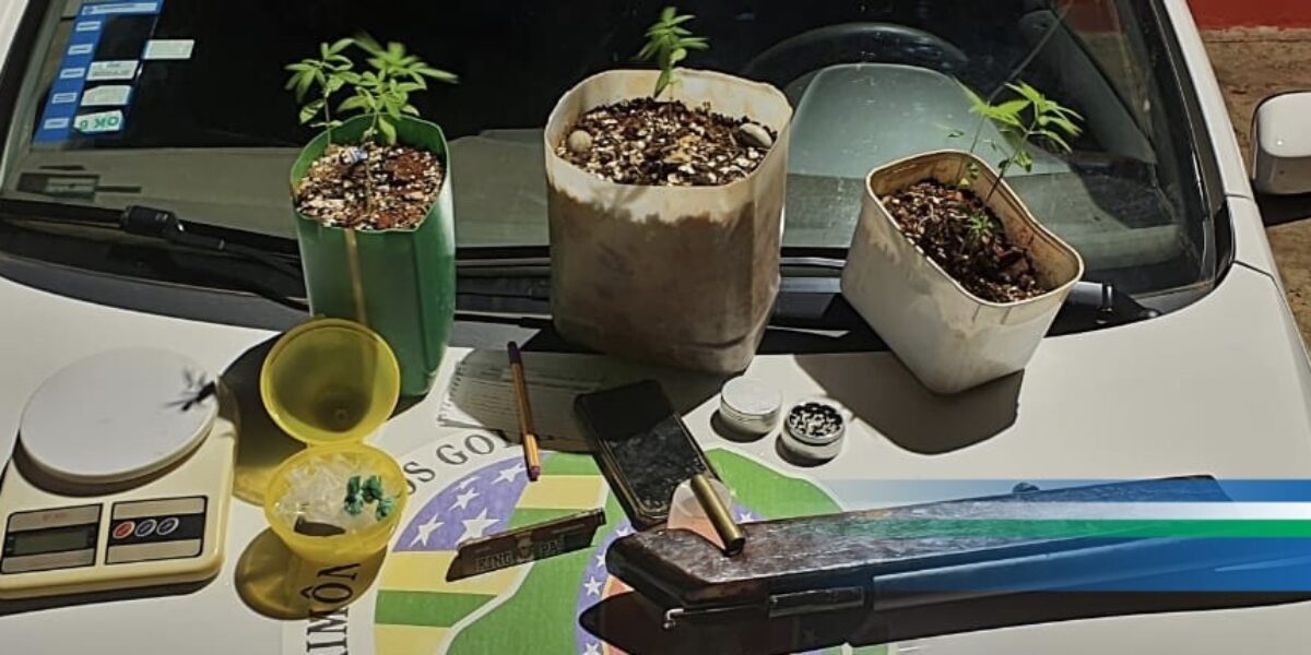 10° BPM desarticula ponto de tráfico, apreende arma de fogo e drogas, em Luziânia.