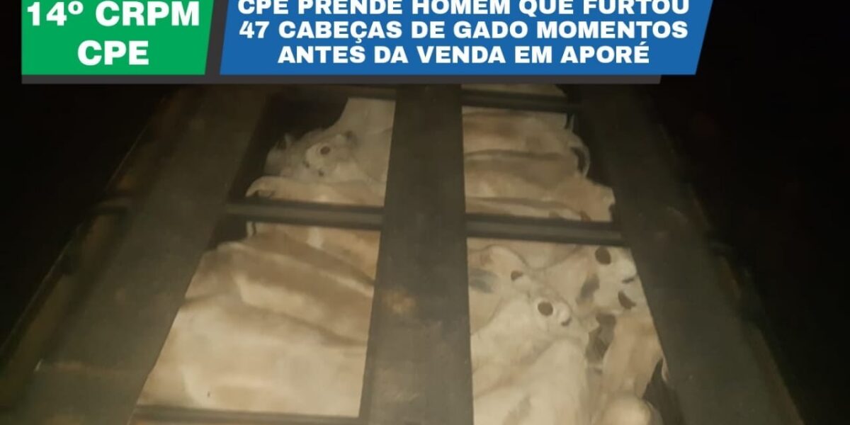 PMGO Prende Homem que Furtou 47 Cabeças de Gado, na região de Aporé-GO