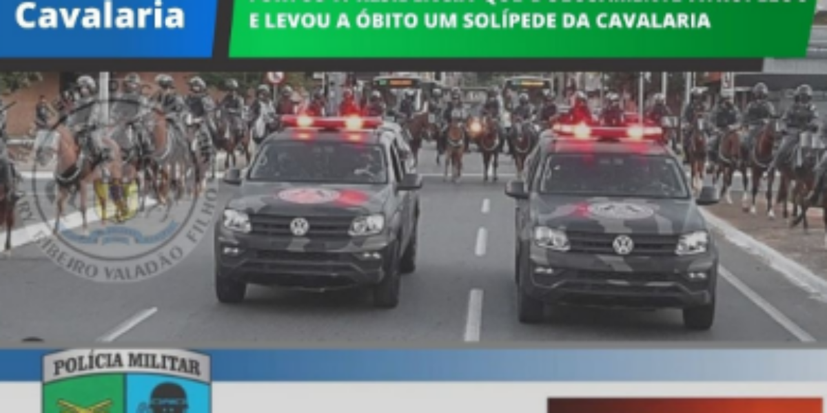 POLÍCIA MILITAR DE GOIÁS, por meio do 9° BATALHÃO, detém casal suspeito de realizar vários furtos a residência que dolosamente atropelou e levou a óbito um solípede da cavalaria
