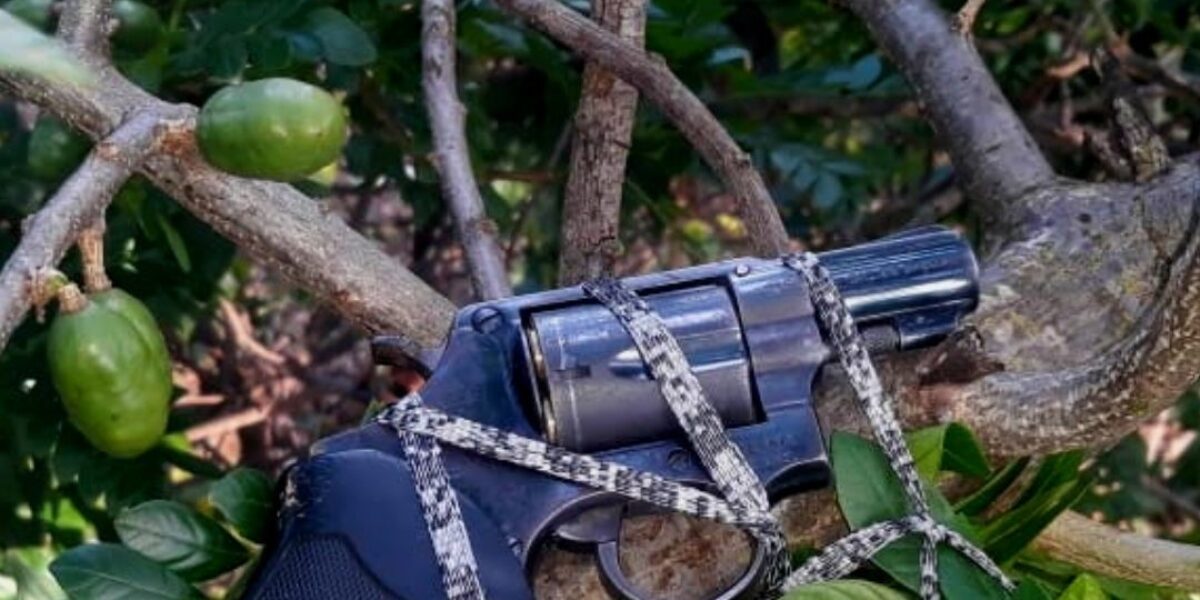 Após Roubo, Mulher Tenta se Esconder Subindo em Árvore e Acaba Presa Pela PMGO