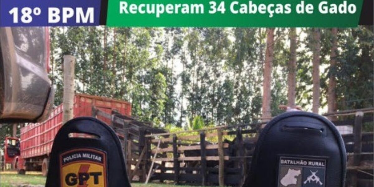 Batalhão Rural e 18º Batalhão Desarticulam Associação Criminosa Especializada em Furto de Gado