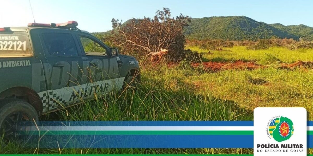 A Polícia Militar localiza desmatamento em Fazenda Nova-GO