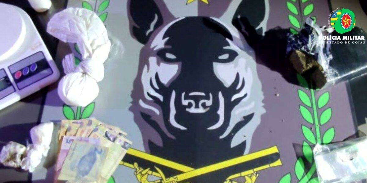 Acompanhe o Boletim Semanal da Polícia Militar de Goiás