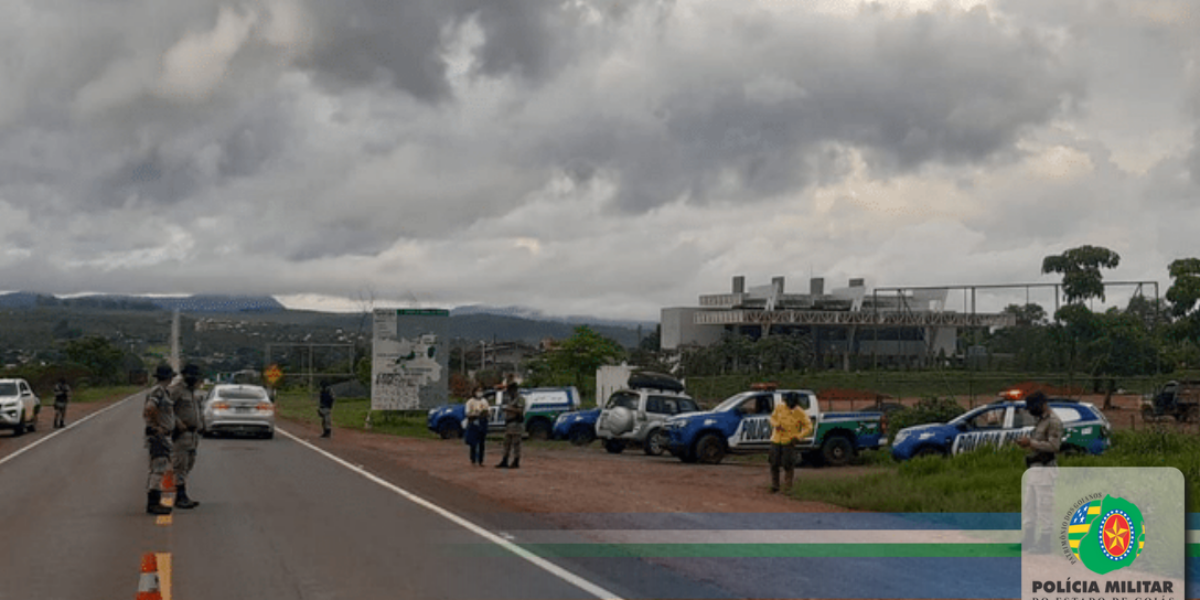 Prevenção em atropelamentos de animais silvestres