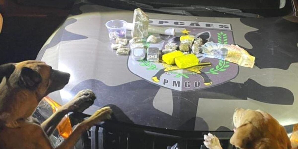 BPCÃES: cães localizam drogas e equipe prende suspeito de tráfico