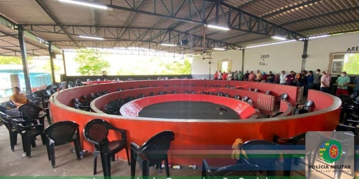 BPMAmbiental fecha rinha de galo e resgata vários animais feridos em Bonfinópolis