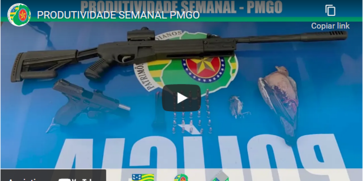 Produtividade semanal PMGO de 01 a 07 de novembro