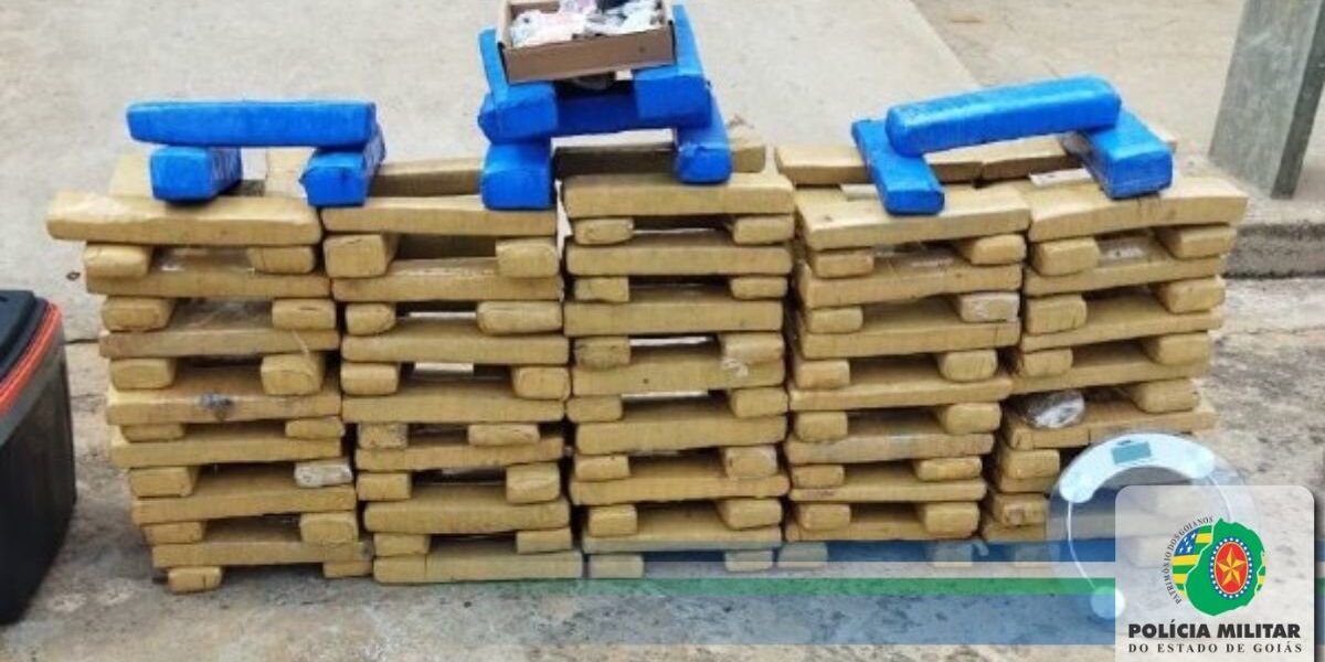 COD E PMMG prendem quadrilha e apreendem 156 Kg de maconha 