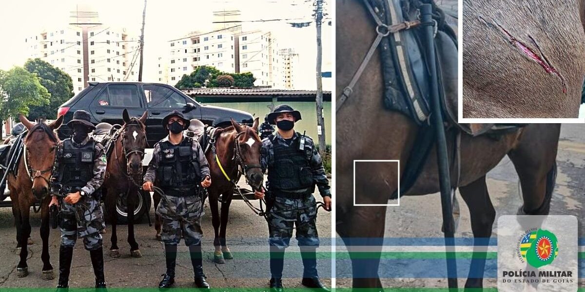Tirocínio Policial: Cavalaria localiza suspeitos durante patrulhamento de rotina