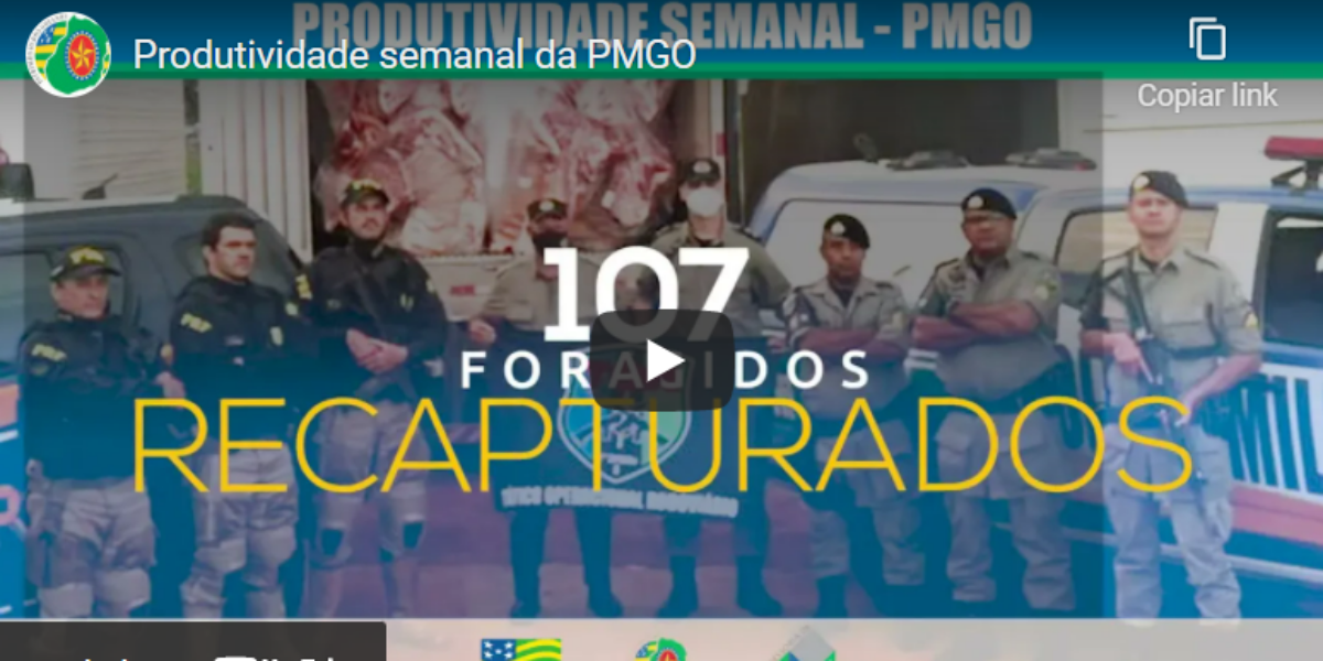 Produtividade Semanal da PMGO