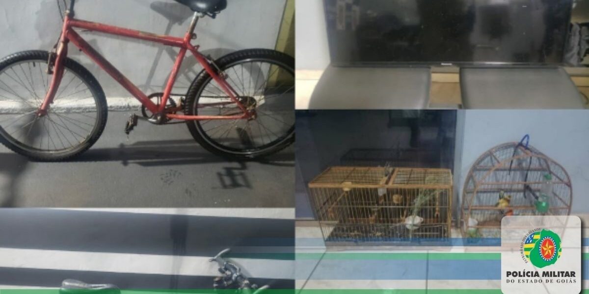 Ação conjunta entre 46º BPM e PC prende autor de furtos em Chapadão do Céu