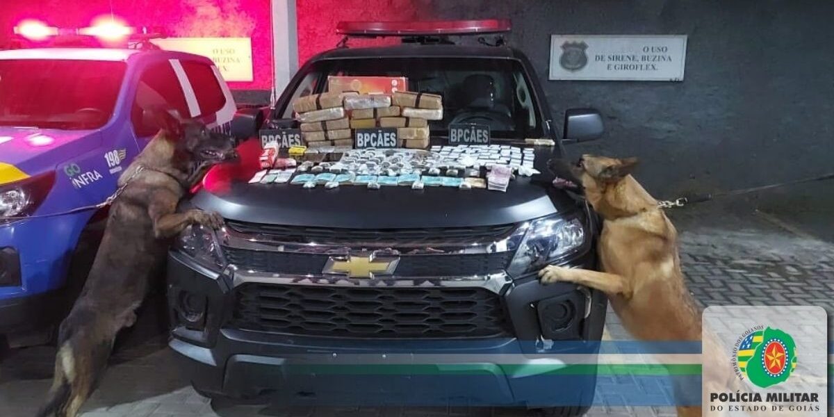 CME/BPCÃES localiza grande quantidade de pasta base de cocaína