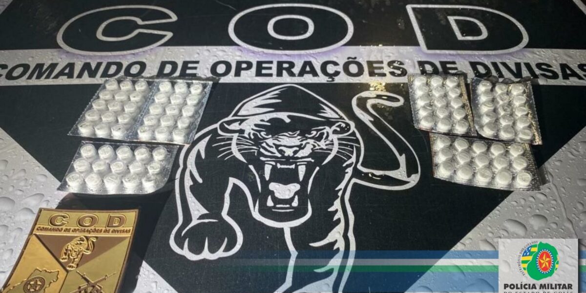 COD apreende documentação falsa e grande quantidade de rebite