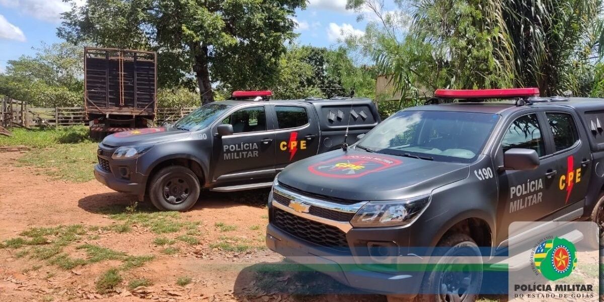 CPE recupera gado furtado em Goianésia