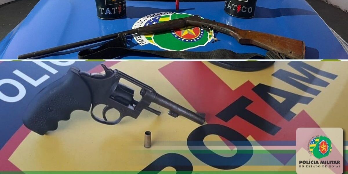 Apreensão de armas