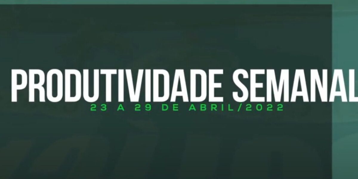 Produtividade Semanal PMGO