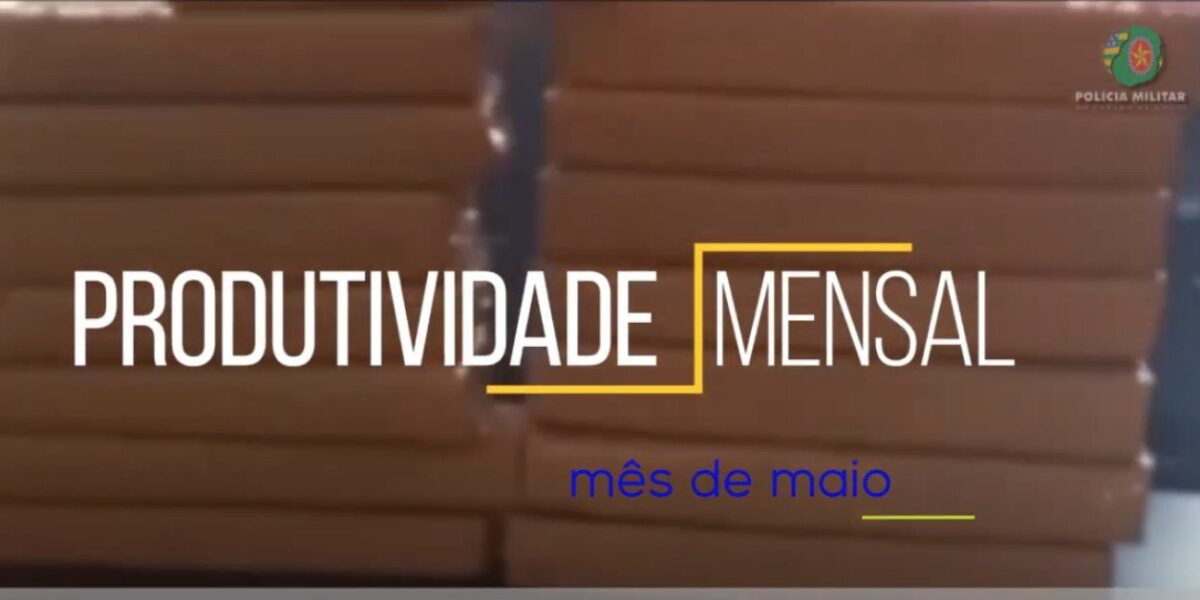 Produtividade mensal PMGO