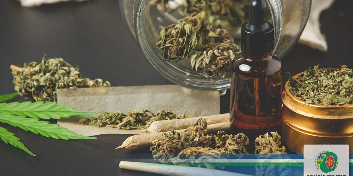 9º BPM em ação: 70 quilos de maconha são apreendidos na capital