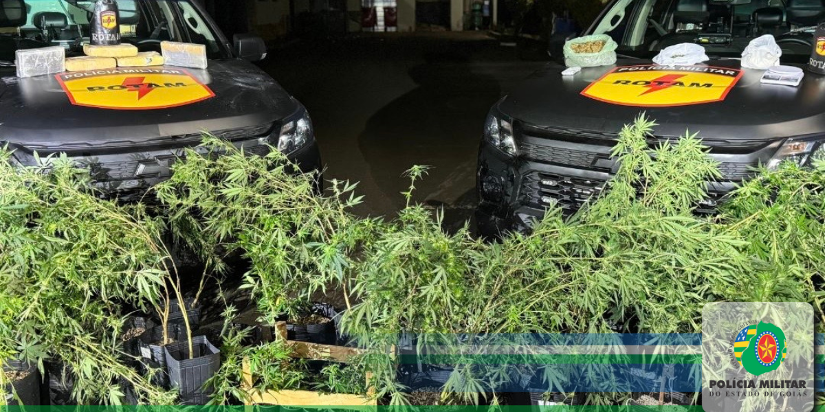 ROTAM prende traficante