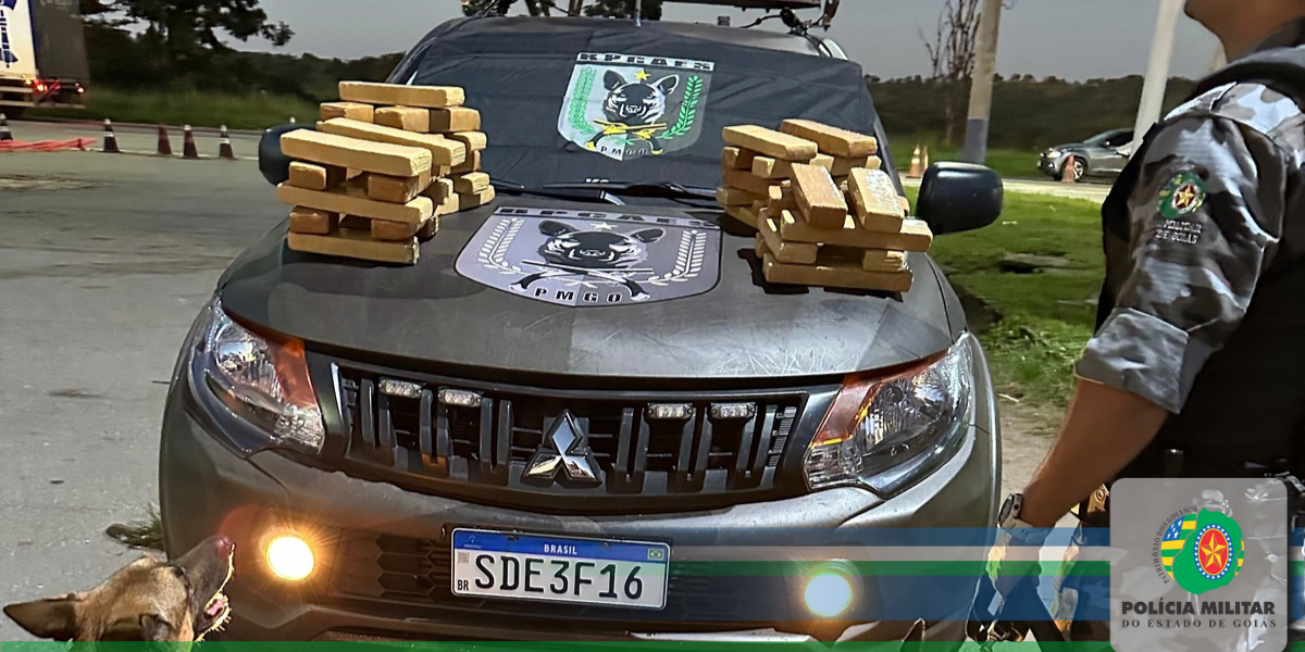 BPCães apreende 40kg de maconha